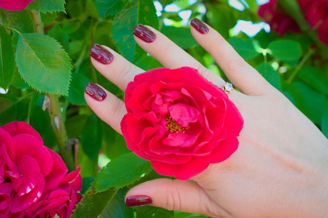 Photo Elegant manicure